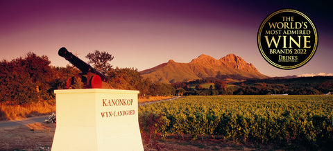Kanonkop wines south africa