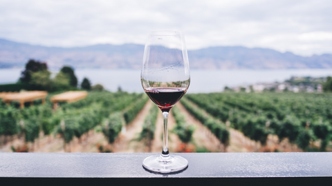 Love, like wine, gets better with time.
